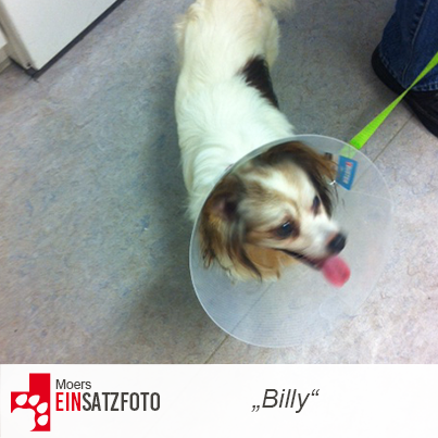 DTR Einsatz: Billy in Moers