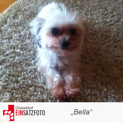 DTR Einsatz: Bella in Düsseldorf