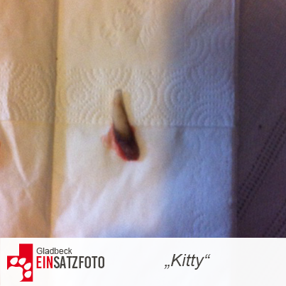 DTR Einsatz: Kitty in Gladbeck