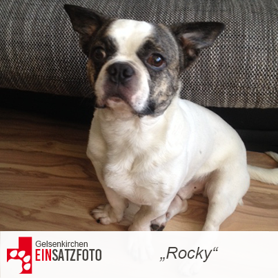 DTR Einsatz: Rocky in Gelsenkirchen
