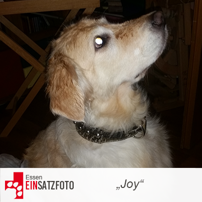 DTR Einsatz: Joy in Essen