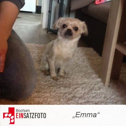 DTR Einsatz: Emma in Bochum