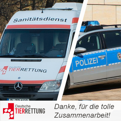 DTR Einsatz: Neo in Krefeld
