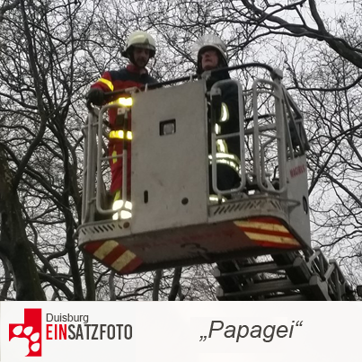 DTR Einsatz: Papagei in Duisburg