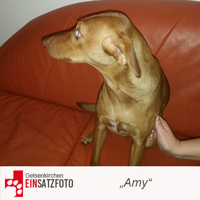 DTR Einsatz: Amy in Gelsenkirchen