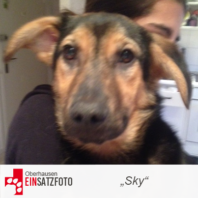 DTR Einsatz: Sky in Oberhausen
