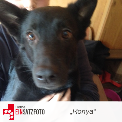 DTR Einsatz: Ronya in Herne