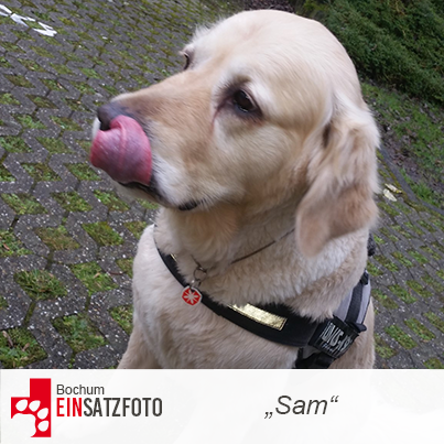 DTR Einsatz: Sam in Bochum