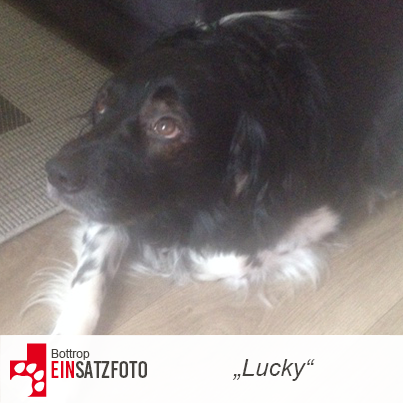 DTR Einsatz: Lucky in Bottrop