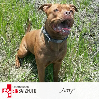 DTR Einsatz: Amy in Oberhausen