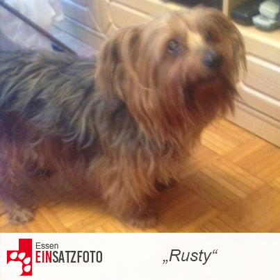 DTR Einsatz: Rusty in Essen
