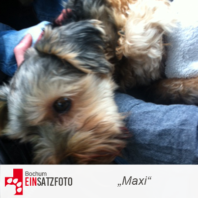 DTR Einsatz: Maxi in Bochum