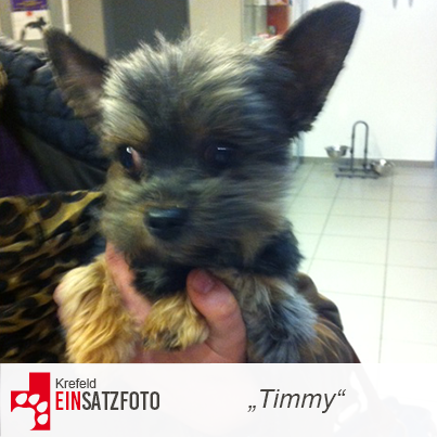 DTR Einsatz: Timmy in Krefeld