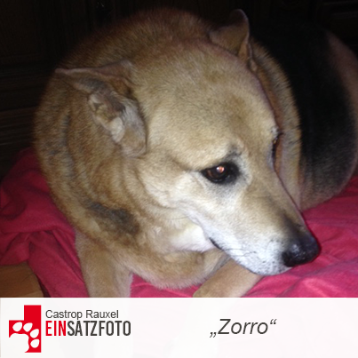 DTR Einsatz: Zorro in Castrop Rauxel