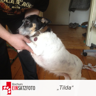 DTR Einsatz: Tilda in Bochum