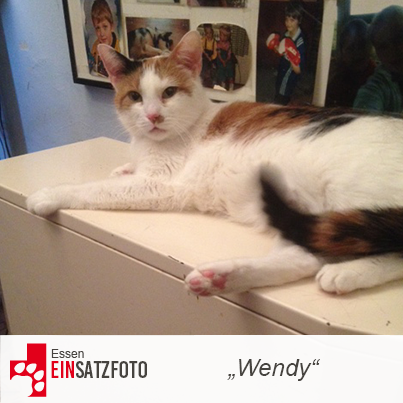 DTR Einsatz: Wendy in Essen