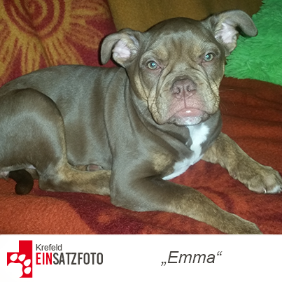 DTR Einsatz: Emma in Krefeld