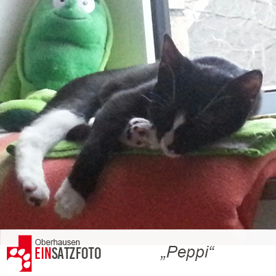 DTR Einsatz: Peppi in Oberhausen