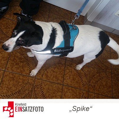 DTR Einsatz: Spike in Krefeld
