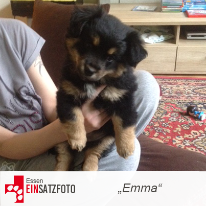 DTR Einsatz: Emma in Essen