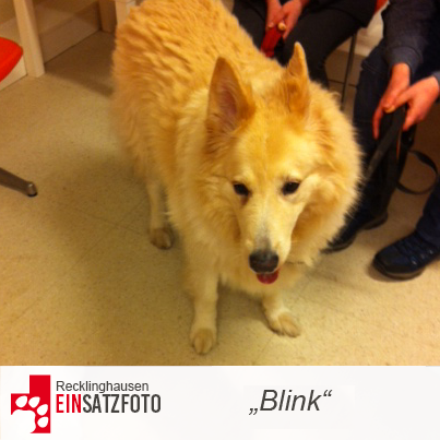 DTR Einsatz: Blink in Essen
