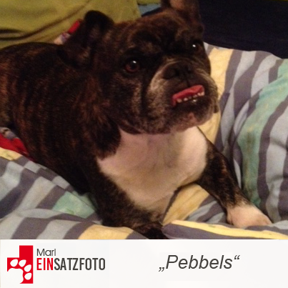 DTR Einsatz: Pebbels in Marl