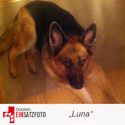 DTR Einsatz: Luna in Dorsten