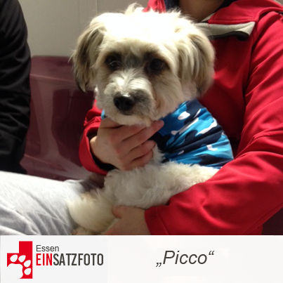 DTR Einsatz: Picco in Essen