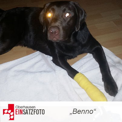 DTR Einsatz: Bruno in Oberhausen