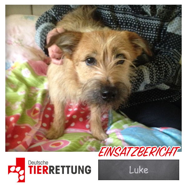 DTR Einsatz: Luke in Dorsten