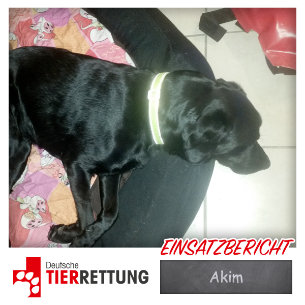 DTR Einsatz: Akim in Gelsenkirchen