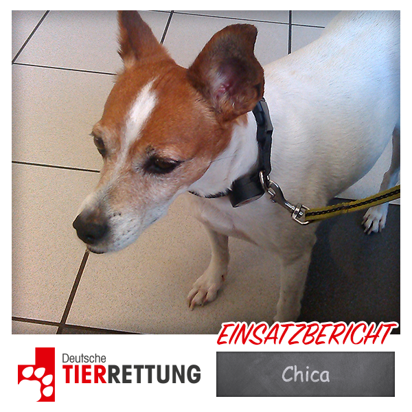 DTR Einsatz: Chica in Duisburg