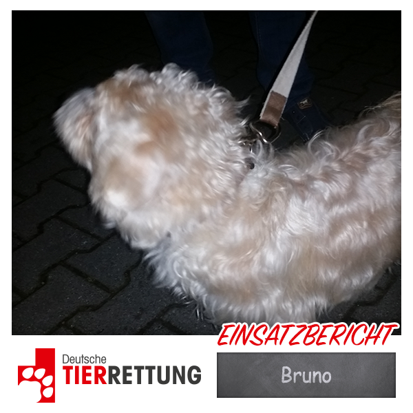 DTR Einsatz: Bruno in Oberhausen
