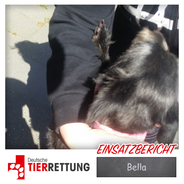 DTR Einsatz: Bella in Duisburg