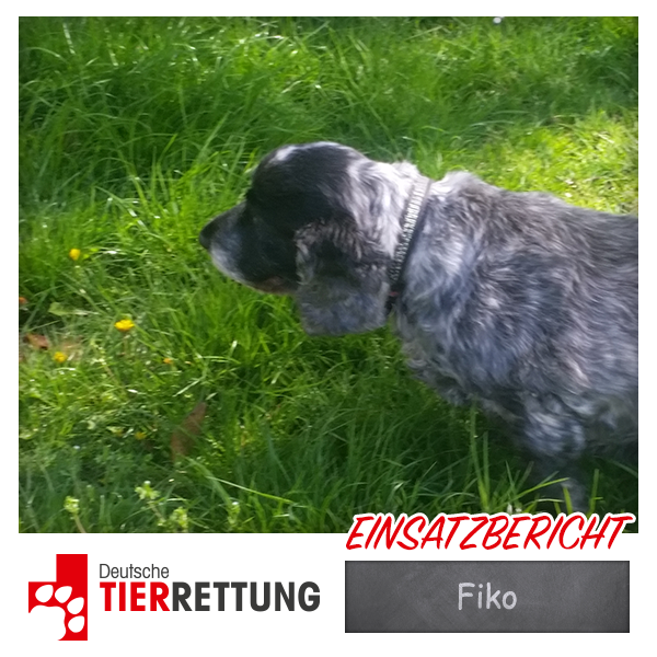DTR Einsatz: Fiko in Gelsenkirchen