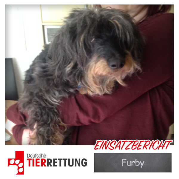 DTR Einsatz: Furby in Marl
