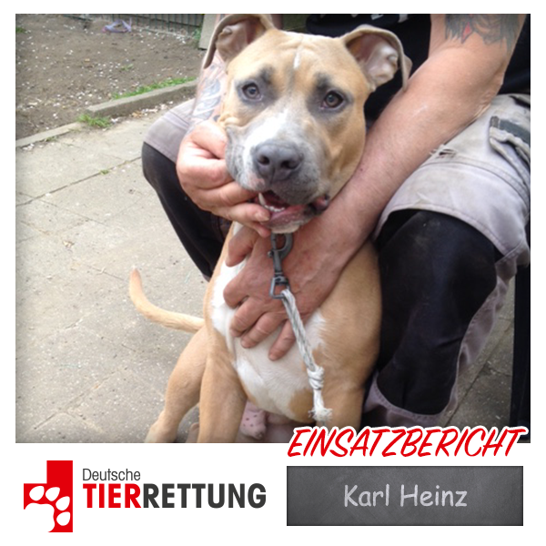 DTR Einsatz: Karl Heinz in Essen