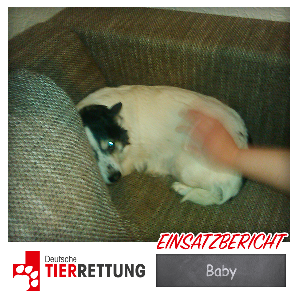 DTR Einsatz: Baby