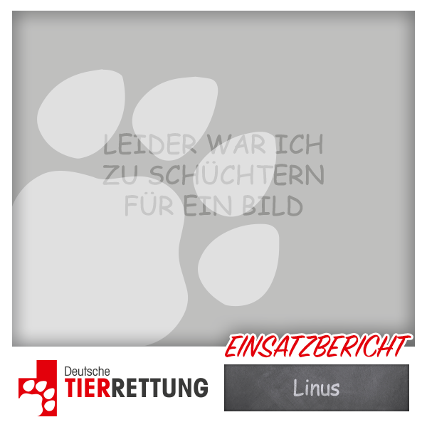 DTR Einsatz: Linus