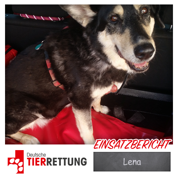 DTR Einsatz: Lena in Duisburg