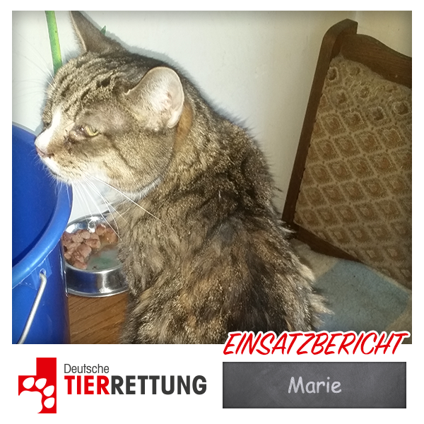 DTR Einsatz: Marie in Marl