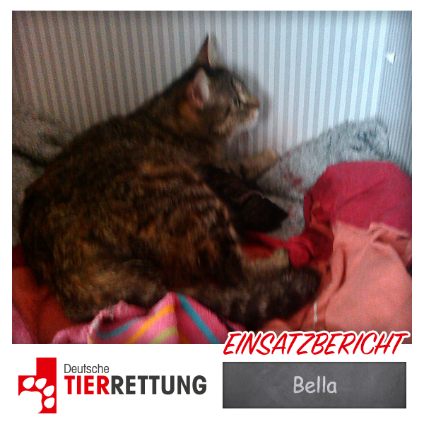 DTR Einsatz: Bella