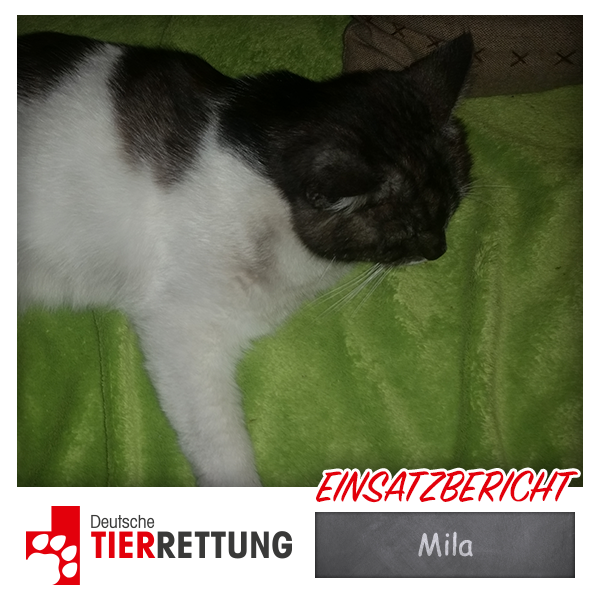 DTR Einsatz: Mila in Oberhausen