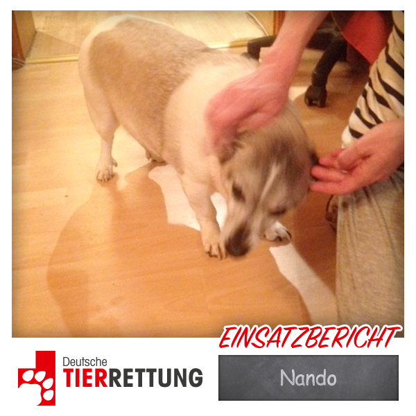 DTR Einsatz: Nando in Bochum