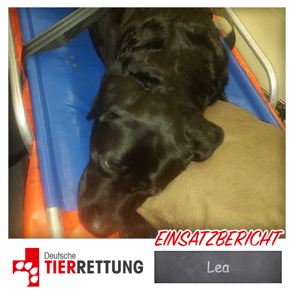 DTR Einsatz: Lea in Mülheim
