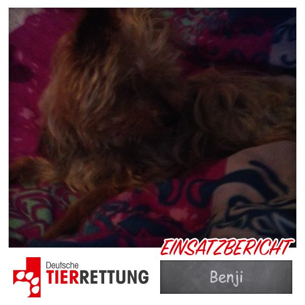 DTR Einsatz: Benji in Oberhausen