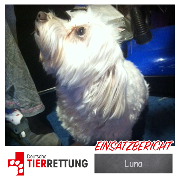 DTR Einsatz: Luna in Essen
