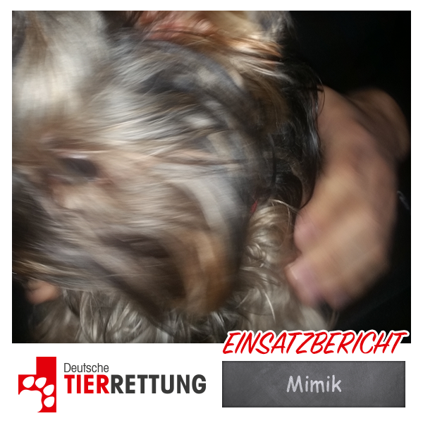 DTR Einsatz: Mimik in Duisburg