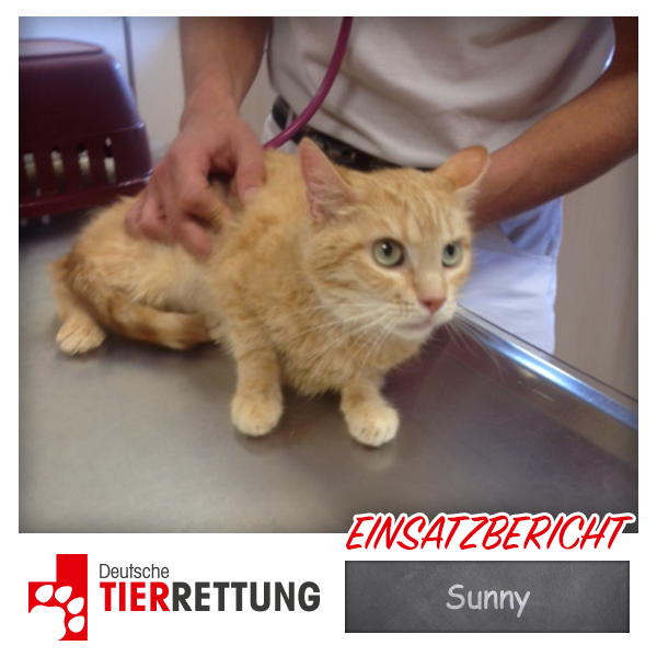 DTR Einsatz: Sunny in Duisburg