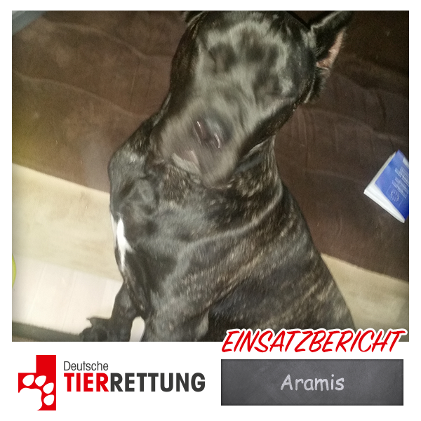 DTR Einsatz: Aramis in Herne